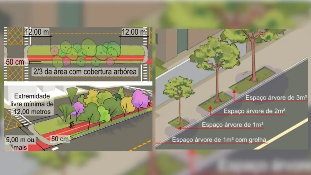 Regras de plantio