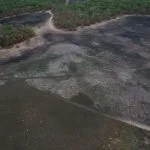 MPMS investiga incêndios que destruíram 1.045 hectares em Aquidauana