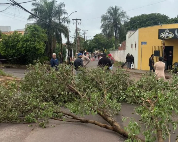 Moradores do Parque Dallas protestam após 72 horas sem energia