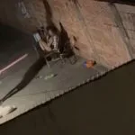 Mulher é presa por agredir cãozinho com cabo de vassoura em Campo Grande