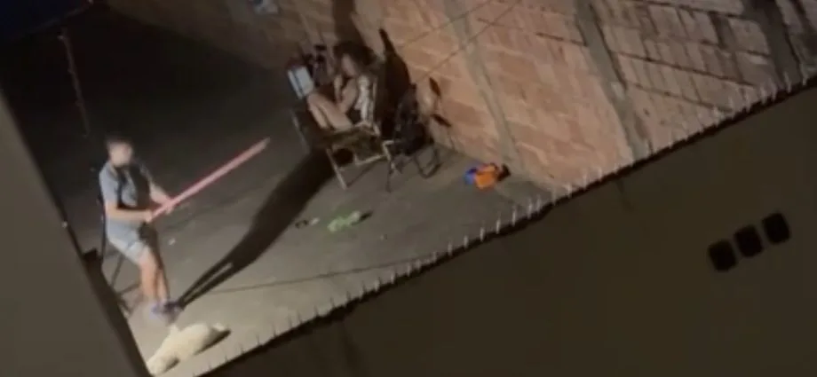 Mulher é presa por agredir cãozinho com cabo de vassoura em Campo Grande