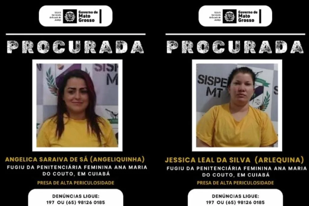 primeira pagina 2026 09 24T181841.651