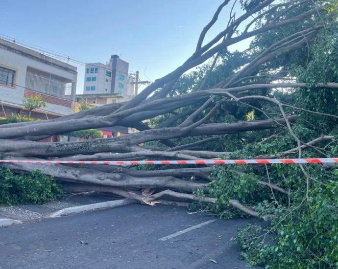 Cenário de destruição em Campo Grande após forte temporal