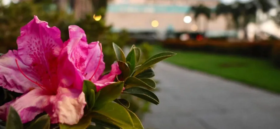 Santa Casa de Campo Grande: um século de dedicação à saúde em MS