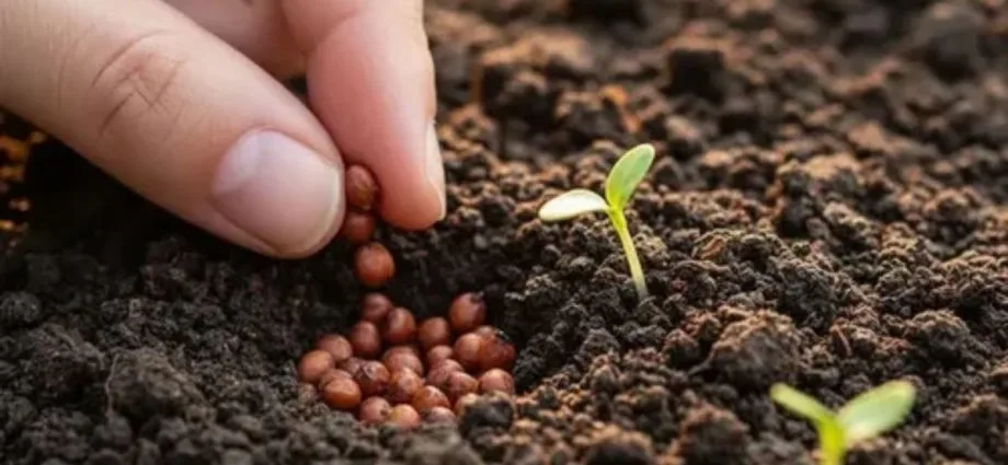 Produtor rural em Dourados recebe indenização de R$ 10 mil após erro da Receita Federal