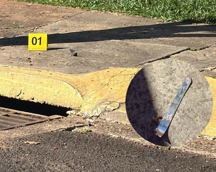 Homem esfaqueia a própria mãe em Campo Grande e diz ter visto um 'bicho'