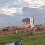 Viatura da PMA capota durante treinamento em Dourados