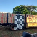 Apreensão de 160 mil maços de cigarros contrabandeados em Eldorado, MS
