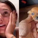 Ana Castela adota filhote abandonado em estrada
