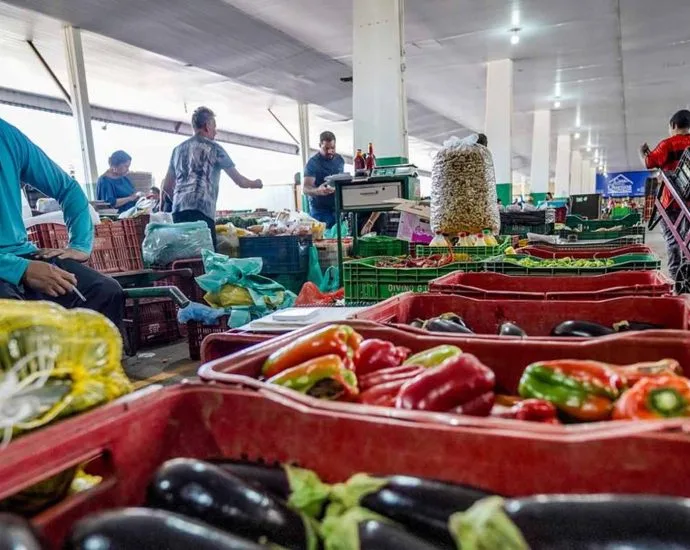 Campanha #FazAXepa busca engajamento para reduzir desperdício de alimentos em outubro