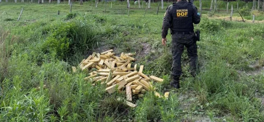 Governo de MS destina R$ 240 mil para diárias de policiais na fronteira