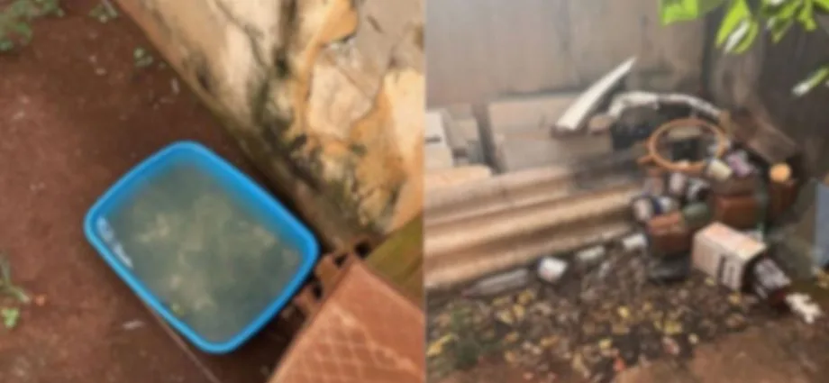 Tutor preso por maus-tratos a cães em Campo Grande