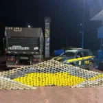 Apreensão de drogas na BR-262 soma mais de 1,1 tonelada em MS