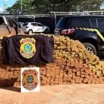 Cerca de 1,8 tonelada de maconha apreendida em Três Lagoas pela Polícia Federal