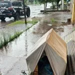 Polícia Civil resgata cachorro em Corumbá e indicia responsável por maus-tratos