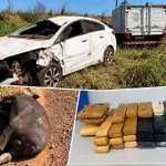 Homem morre em acidente com anta em Mineiros; drogas são apreendidas no veículo