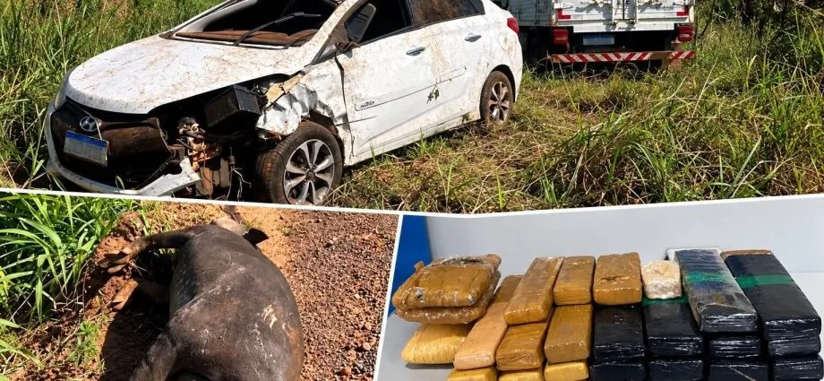 Homem morre em acidente com anta em Mineiros; drogas são apreendidas no veículo