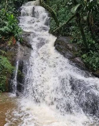 Buscas procuram menina de 12 anos que caiu no Rio Canguery, em MS