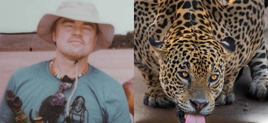 Leonardo DiCaprio compartilha imagem de onça-pintada no Pantanal