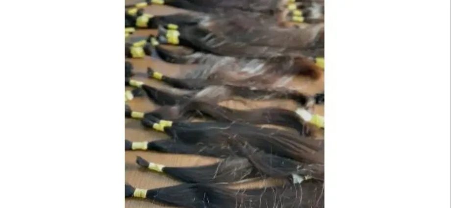 Carga de cabelo humano é recuperada e suspeitos são presos em Campo Grande