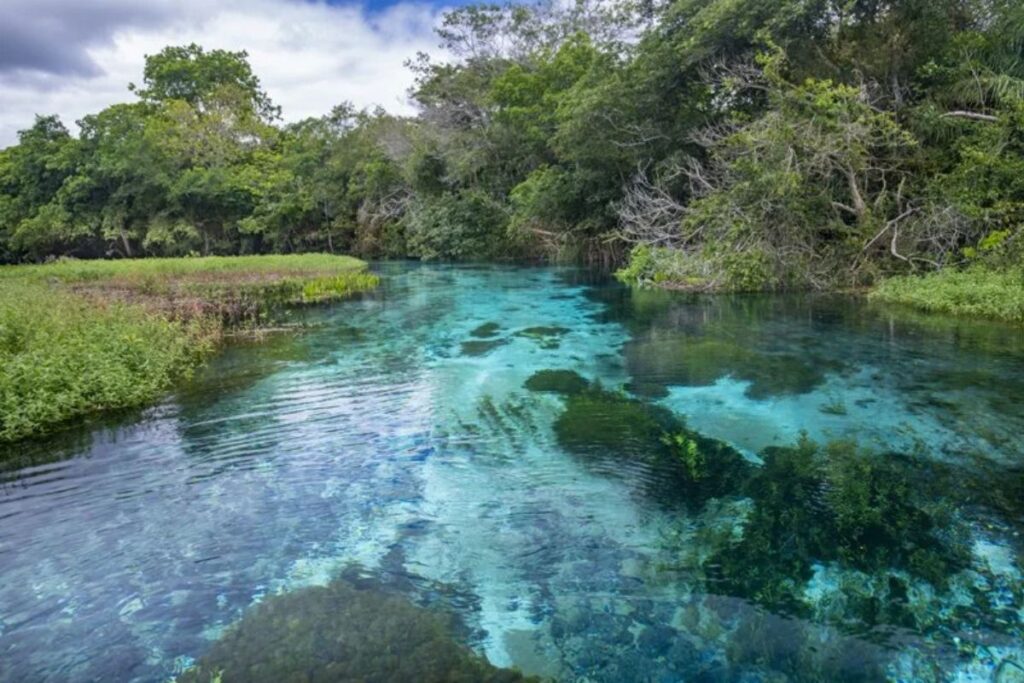 Localizado em Bonito, o rio Sucuri é conhecido pela flutuação nas águas cristalinas. (Foto: Sectur-Bonito)