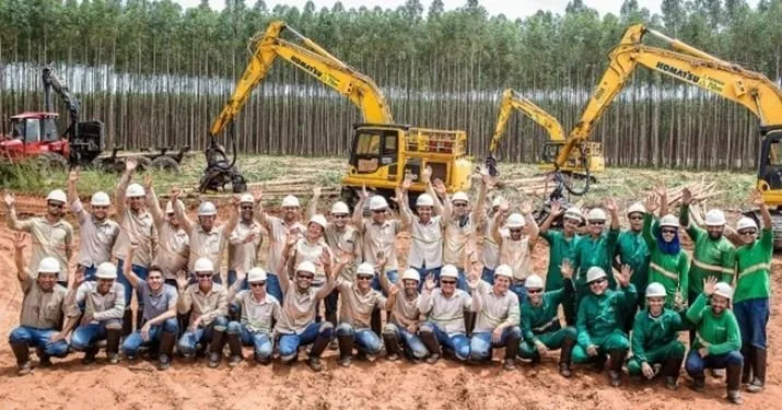 Mudanças no Perfil dos Trabalhadores em Mato Grosso do Sul