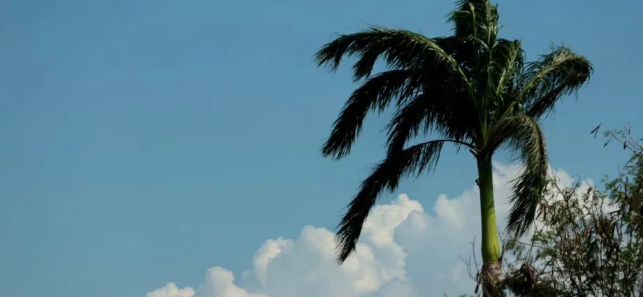 Calor intenso e chance de tempestades nesta sexta-feira em MS
