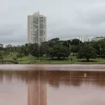 Árvore caída e alagamentos no Parque das Nações em Campo Grande após chuvas