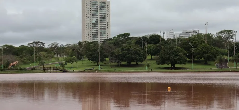 Árvore caída e alagamentos no Parque das Nações em Campo Grande após chuvas