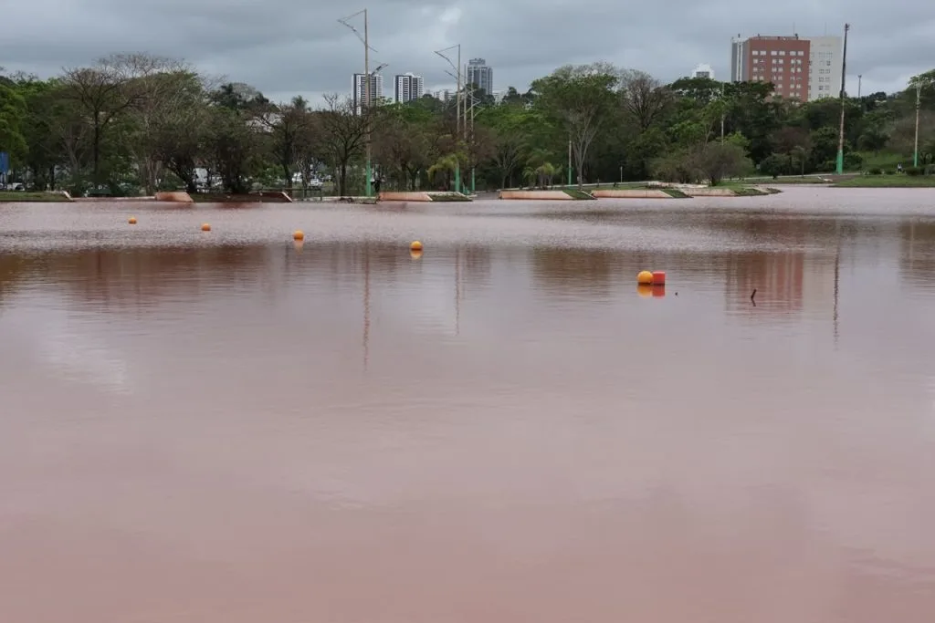 Árvore caída e alagamentos no Parque das Nações em Campo Grande após chuvas