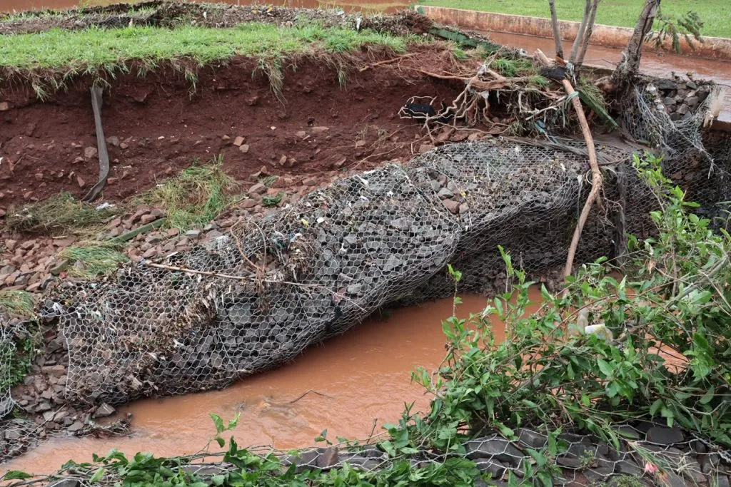 Árvore caída e alagamentos no Parque das Nações em Campo Grande após chuvas