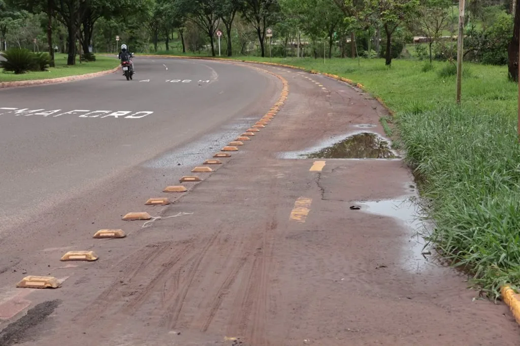 Árvore caída e alagamentos no Parque das Nações em Campo Grande após chuvas