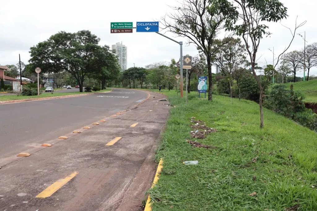 Árvore caída e alagamentos no Parque das Nações em Campo Grande após chuvas