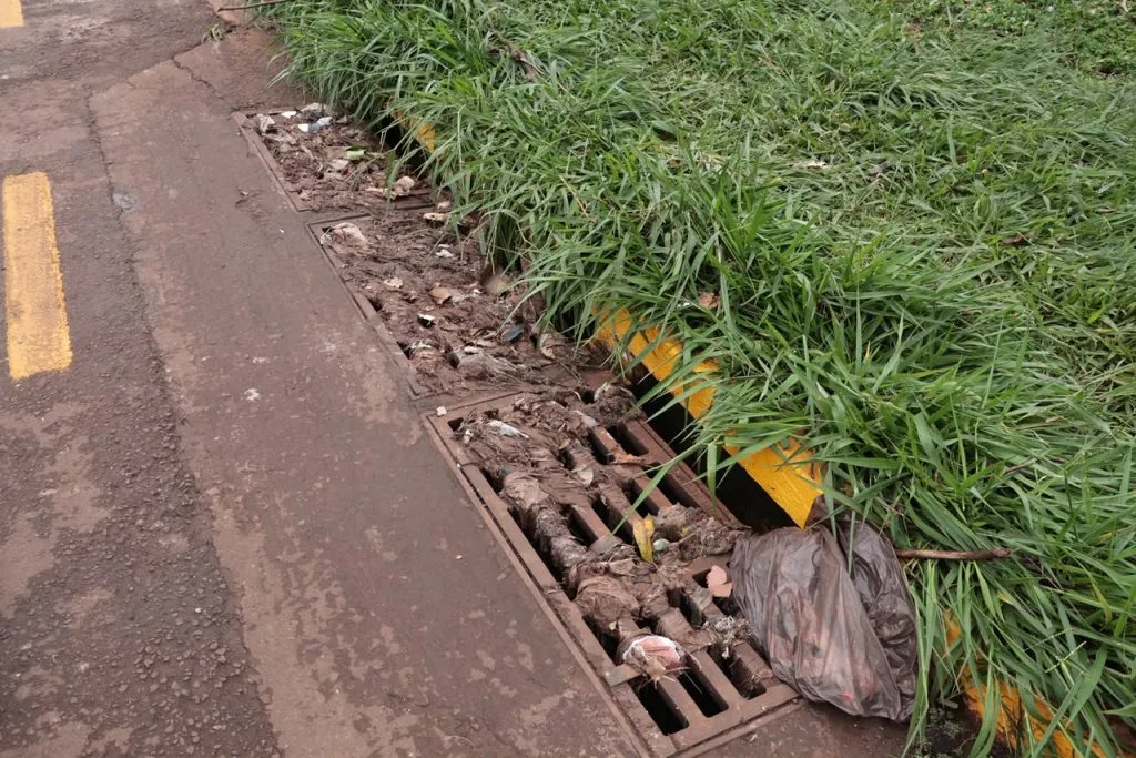 Árvore caída e alagamentos no Parque das Nações em Campo Grande após chuvas