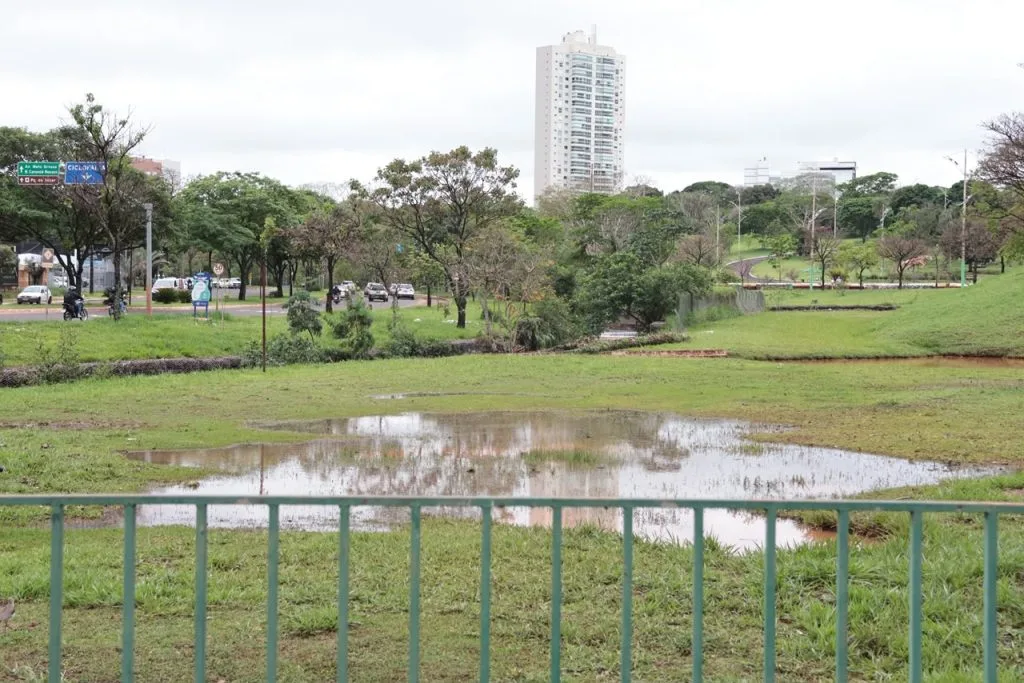 Árvore caída e alagamentos no Parque das Nações em Campo Grande após chuvas