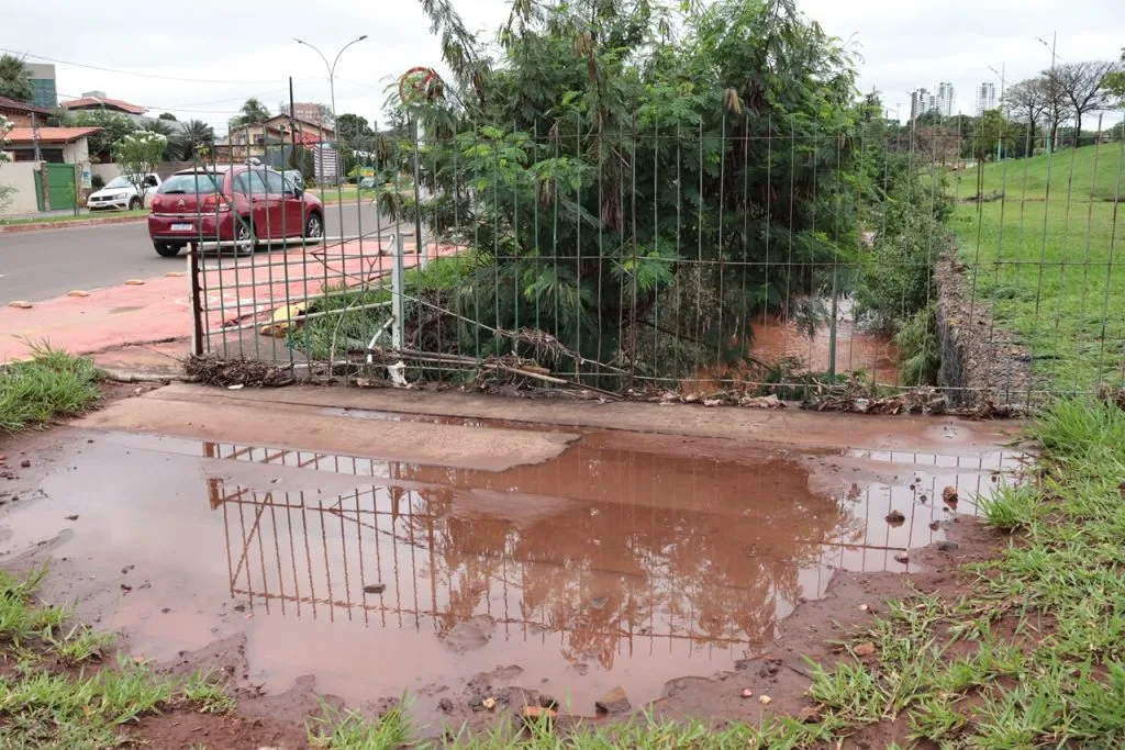 Árvore caída e alagamentos no Parque das Nações em Campo Grande após chuvas