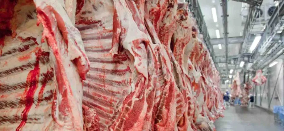 Tarifa de 67% na carne brasileira para exportação à China a partir de outubro