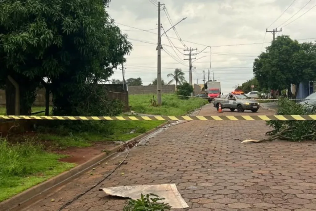 Trechos foram interditados por segurança devido à queda de árvores e ao risco provocado por cabos elétricos danificados. (Foto: Defesa Civil)