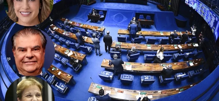 Senadores de Mato Grosso do Sul apoiam fim da escala 6×1 no Brasil