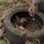 Identificação de 684 focos de dengue em Campo Grande