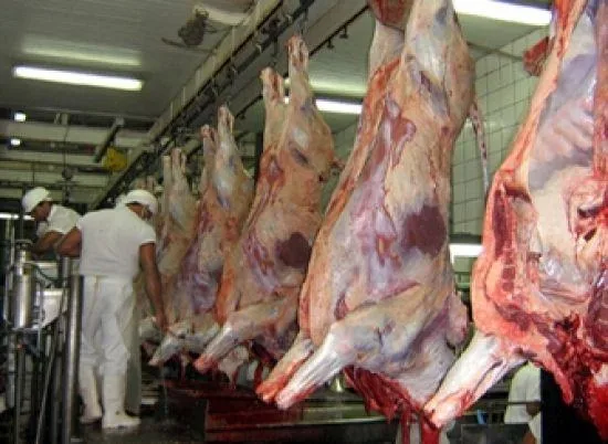 Carne de MS enfrenta tarifa de 67% para exportação à China