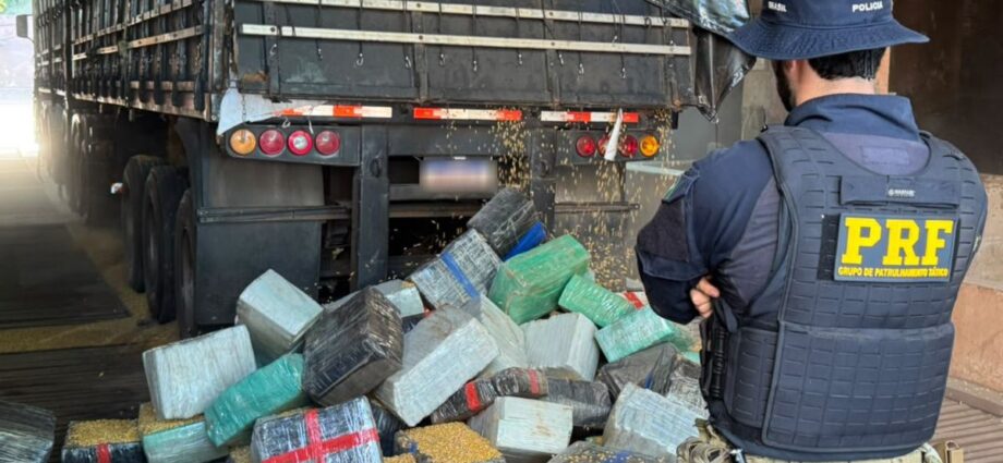 PRF apreende 5,28 toneladas de maconha em carga de milho em Vicentina