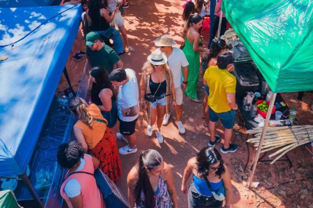 feira bosque da paz