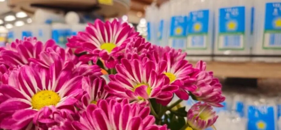 Flores para Finados têm diferença de até 202,01% em Campo Grande