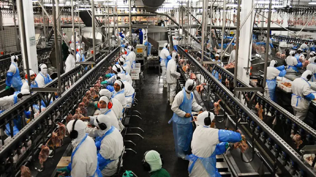 Mato Grosso do Sul completa 49 anos com avanços econômicos significativos