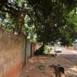 Idoso morre após queda de escada durante poda em Campo Grande