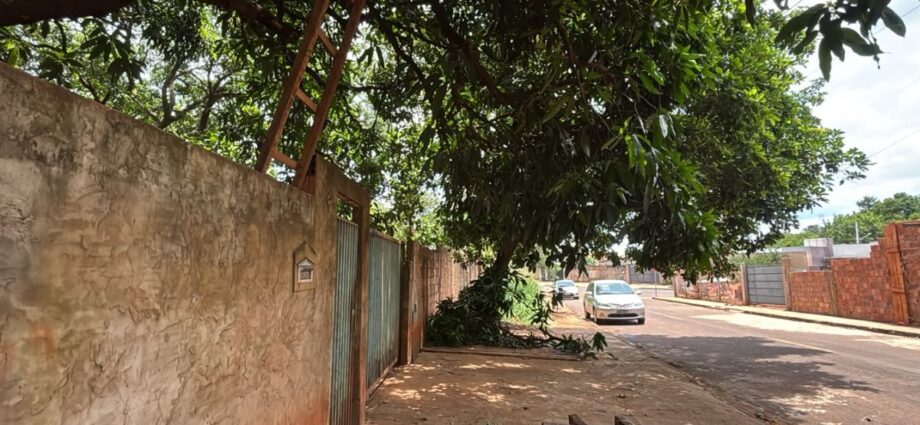 Idoso morre após queda de escada durante poda em Campo Grande