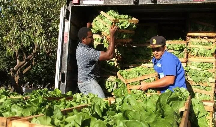 Alimentos da agricultura familiar abastecem escolas em Campo Grande
