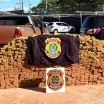 Polícia Federal apreende 1,8 tonelada de maconha em Três Lagoas