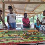 Fwd: Memória e identidade fortalecem a mobilização de mulheres em Furnas da Boa Sorte